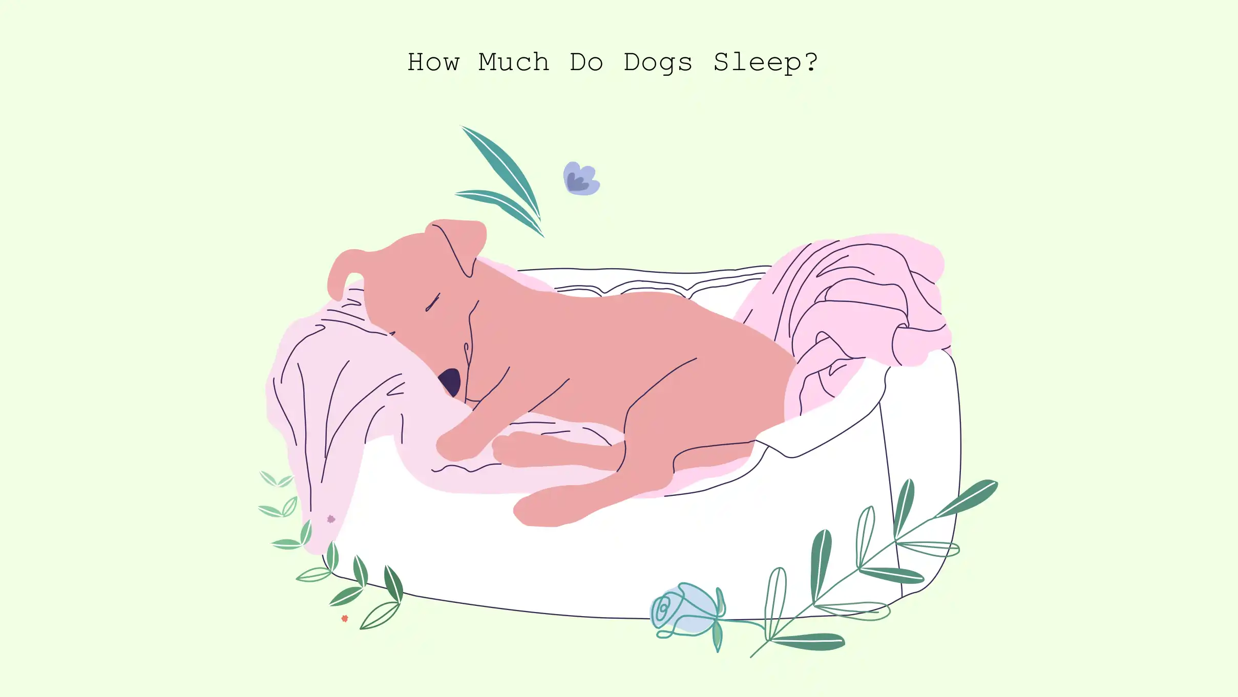 xxx How Much Do Dogs Sleep illustration of Exercise for Good Sleep