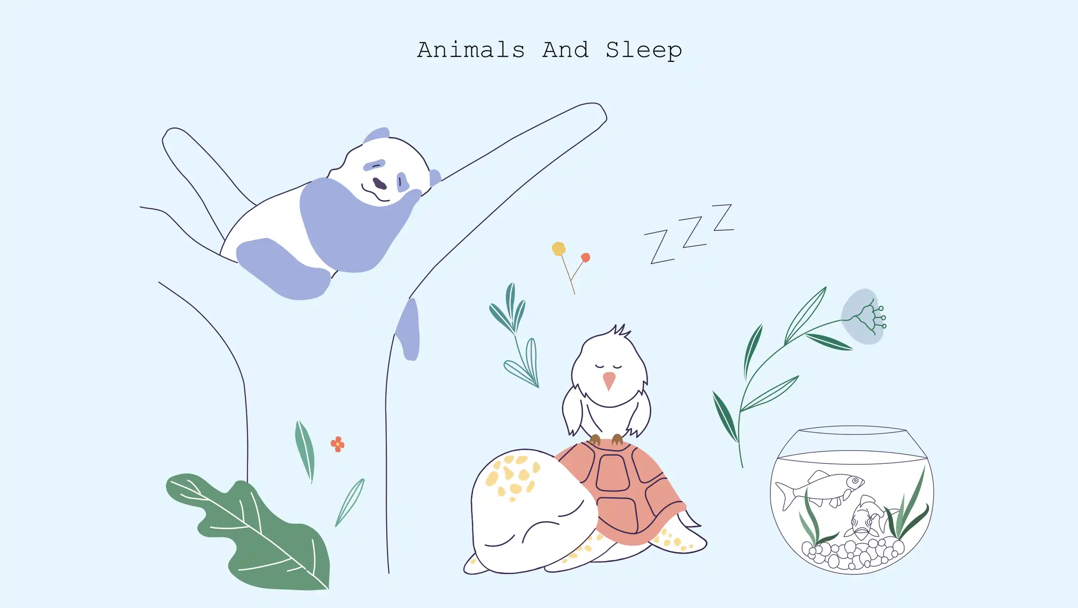 Illustration of Animals Sleep