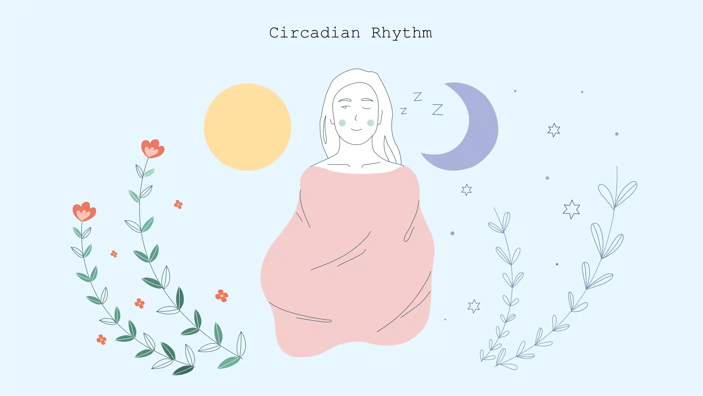 illustration of circadian rhythm