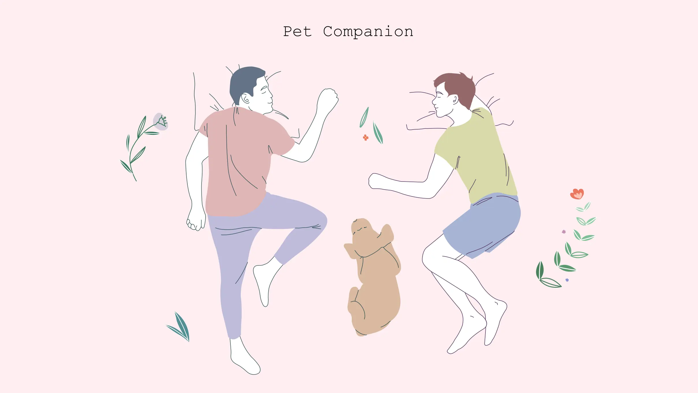 xxx Pet companion Illustration of Pet Companion-sleep position