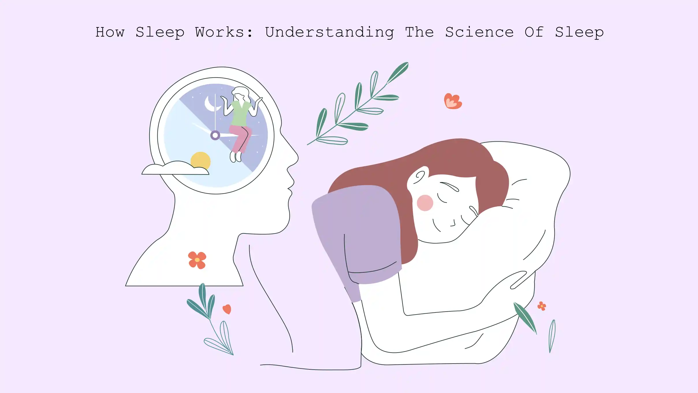 xxx how sleep works lustration of sleep work