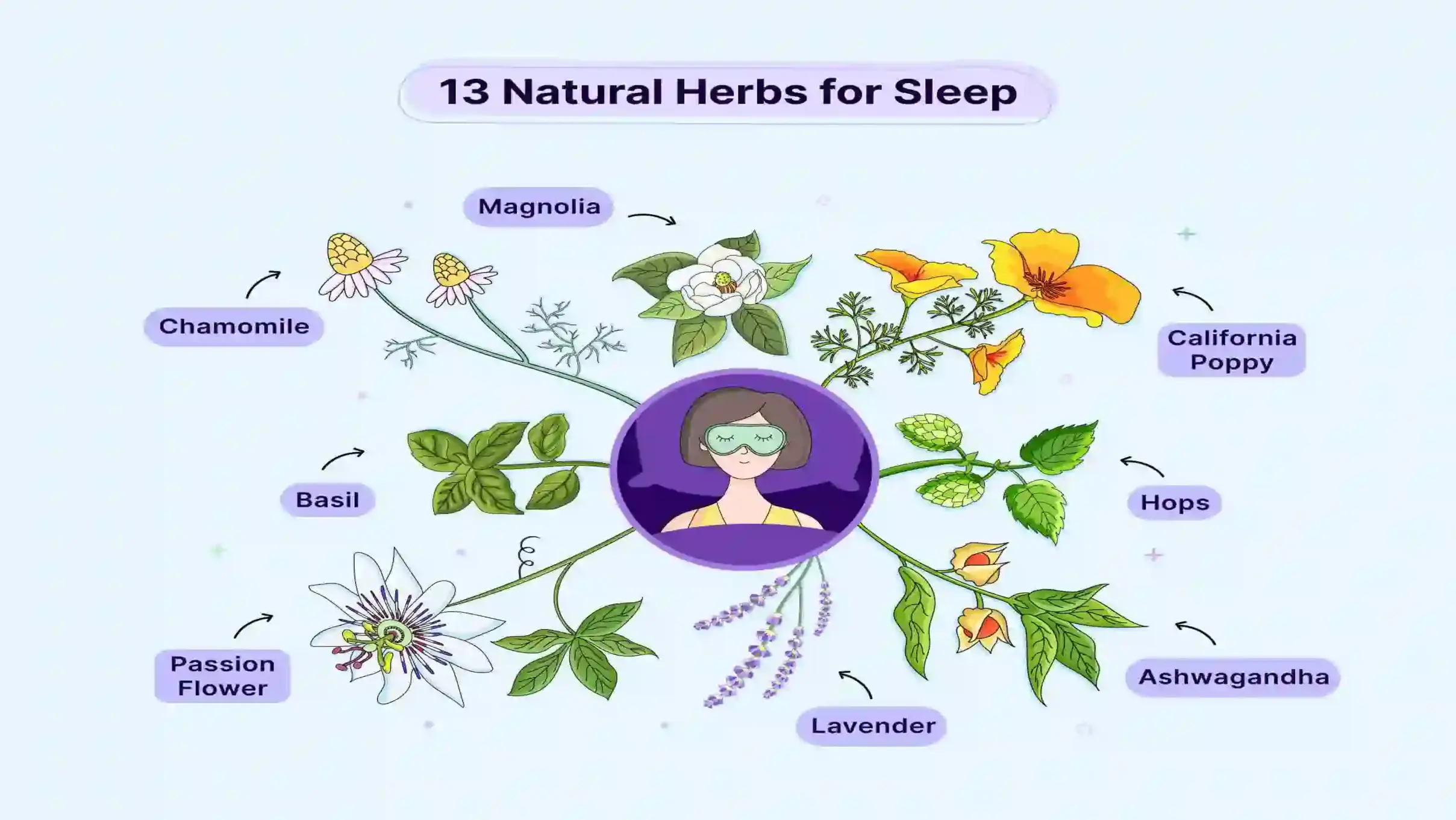 13-Natural-Herbs-For-Sleep