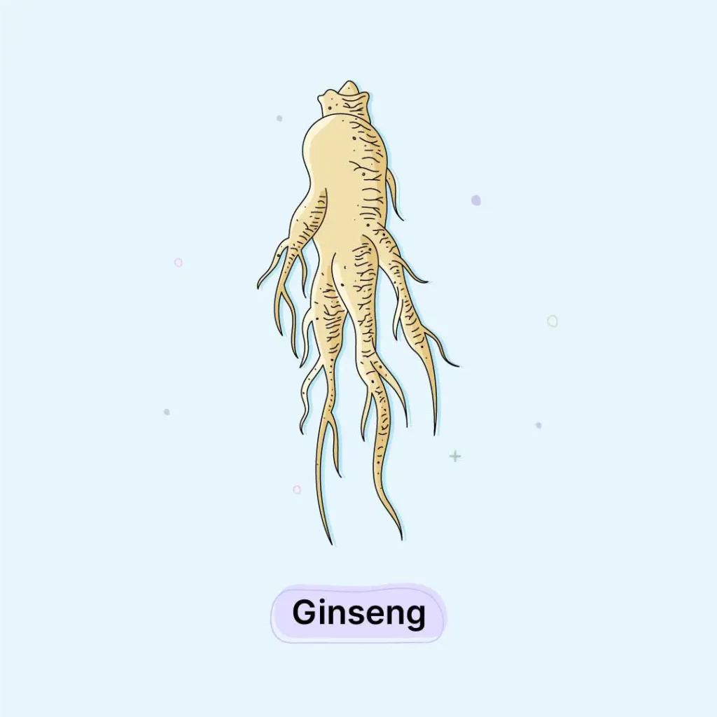 Ginseng-Herb