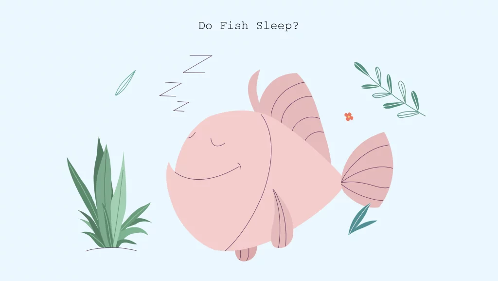 illustration of fish sleep