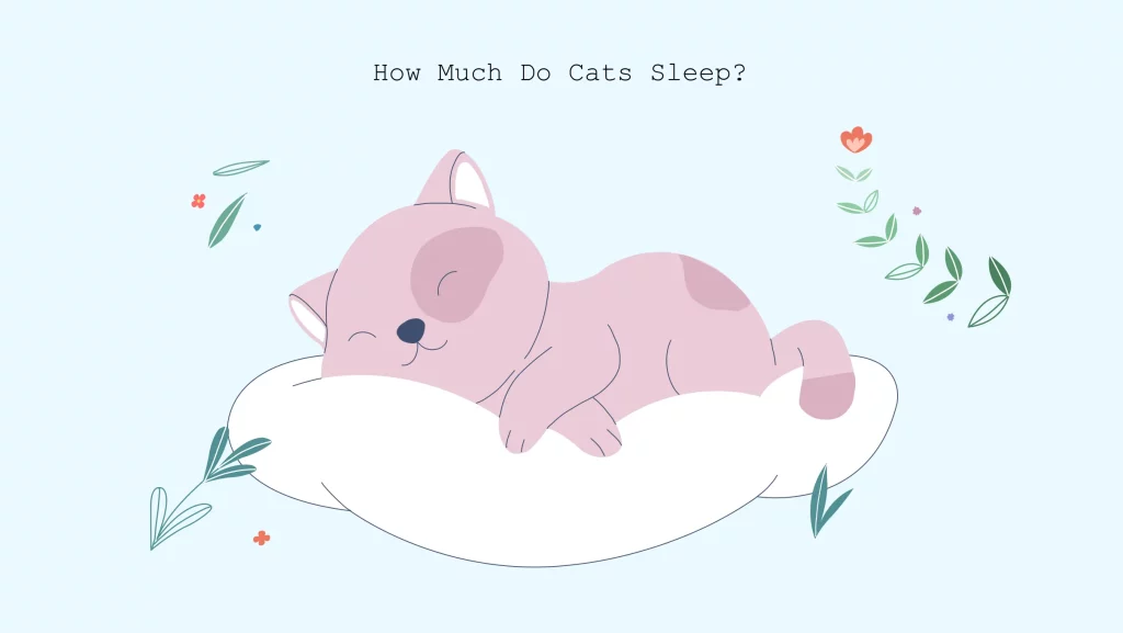 illustration of cat sleep