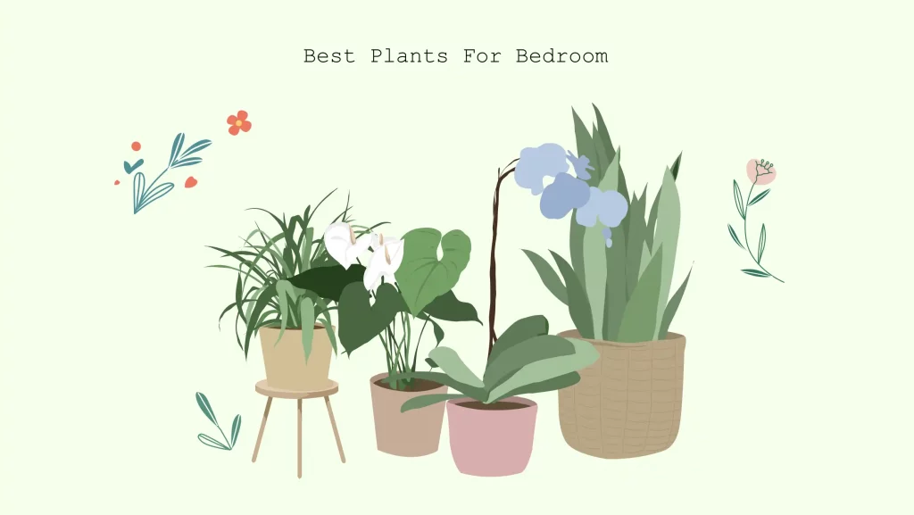 best plants for bedroom
