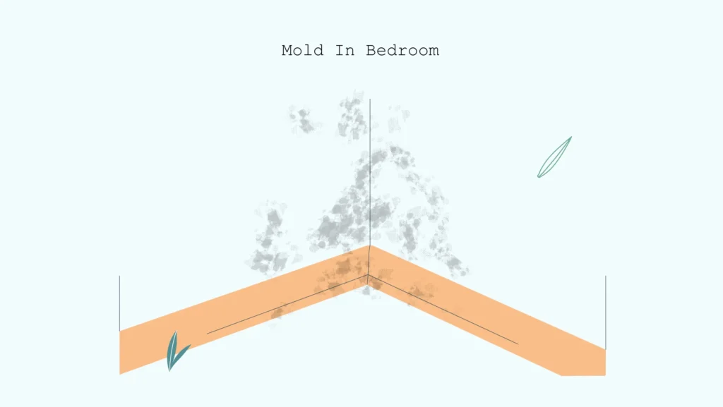 Mould-in-bedroom
