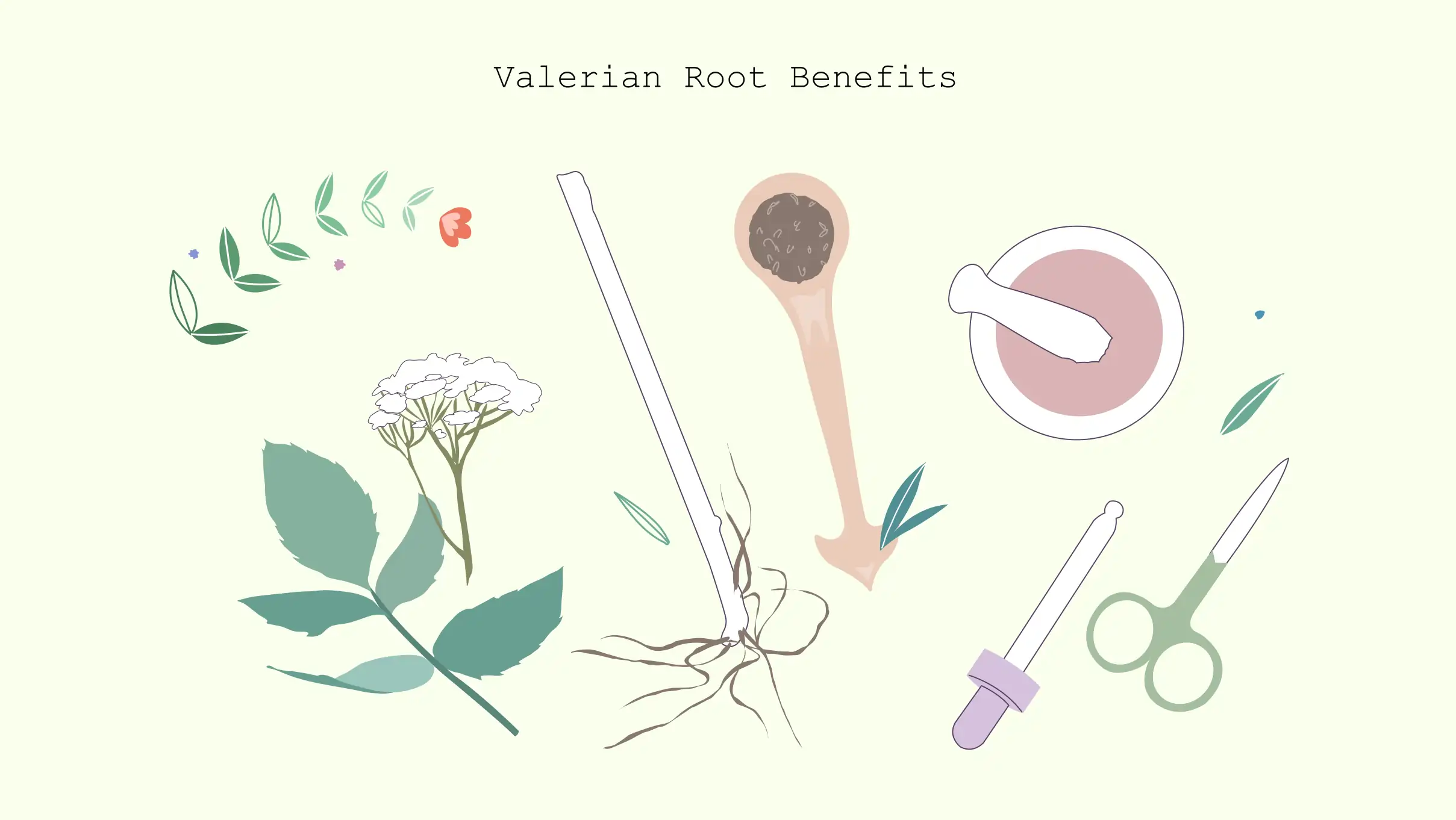 xxx Valerian root benefits 2 valerian root benefits