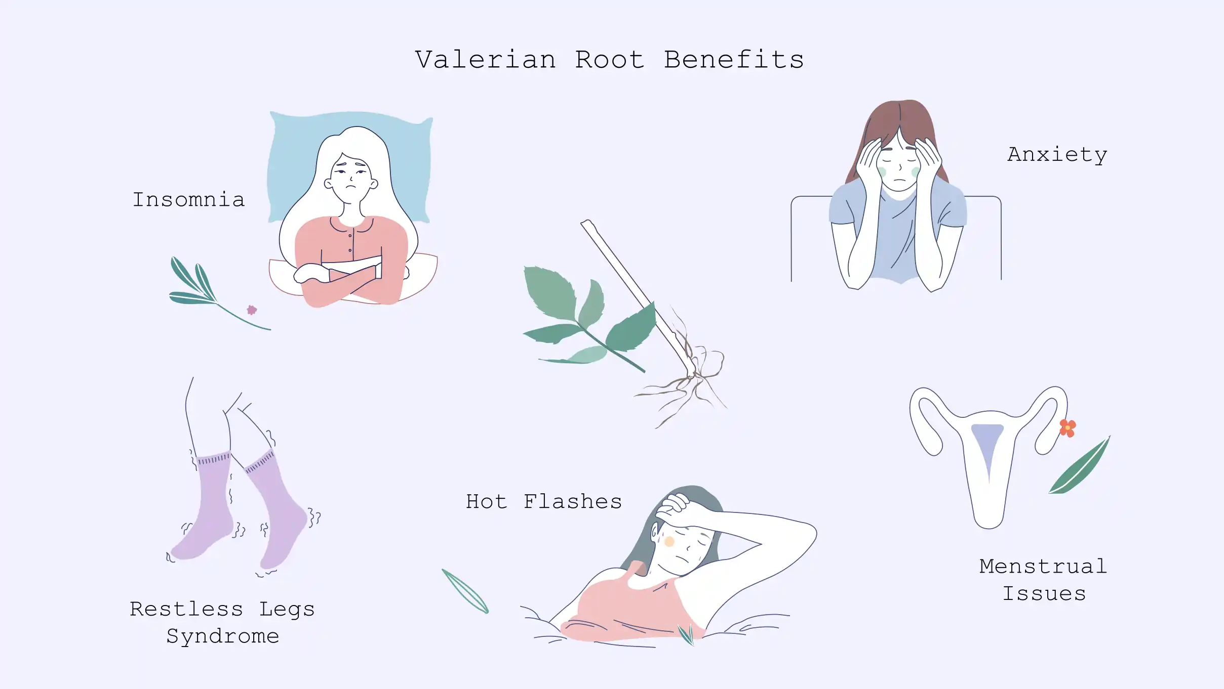 xxx Valerian root benefits Valerian root benefits