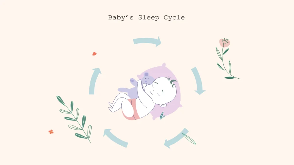baby's sleep cycle
