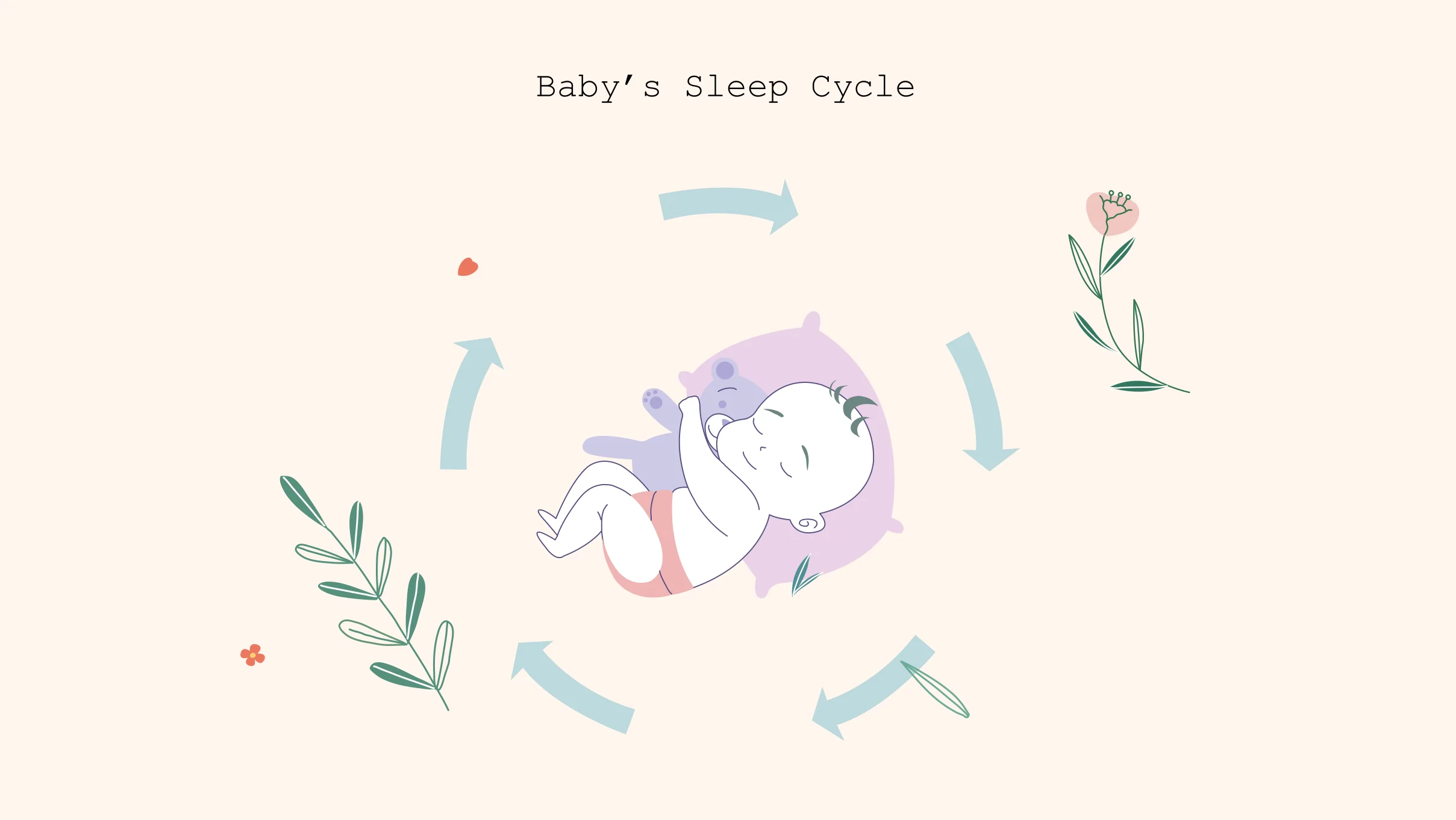 baby's sleep cycle