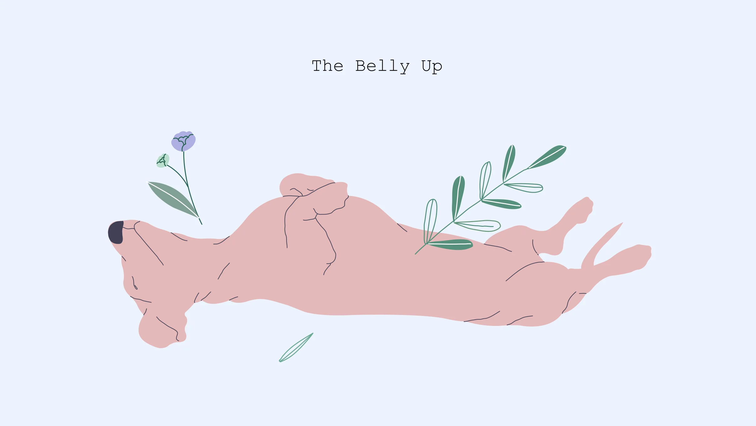 Belly up- Dog Sleeping Position