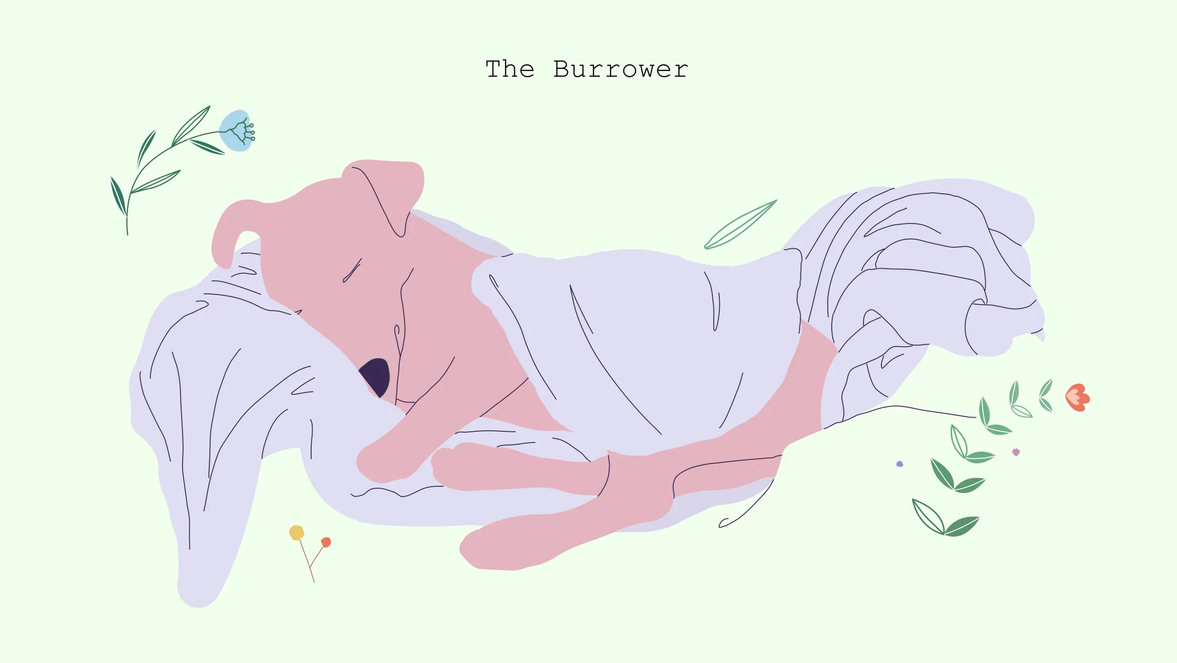 Burrower dog sleeping position