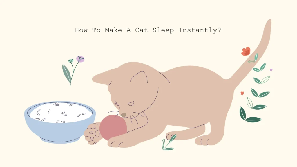 how to make a cat sleep instantly