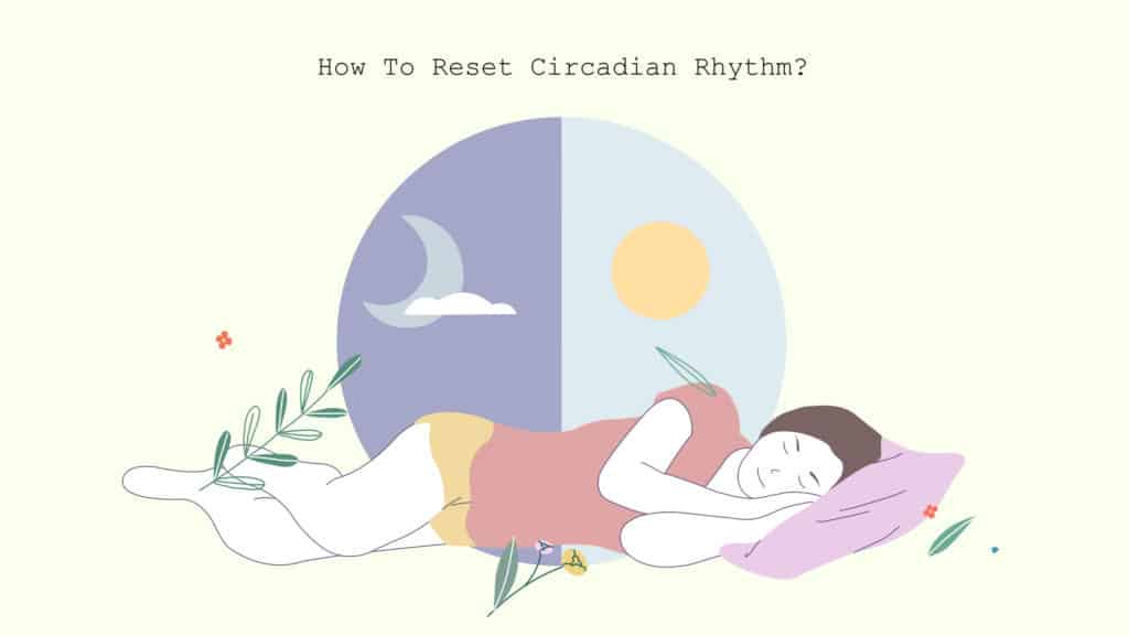 how to reset circadian rhythm