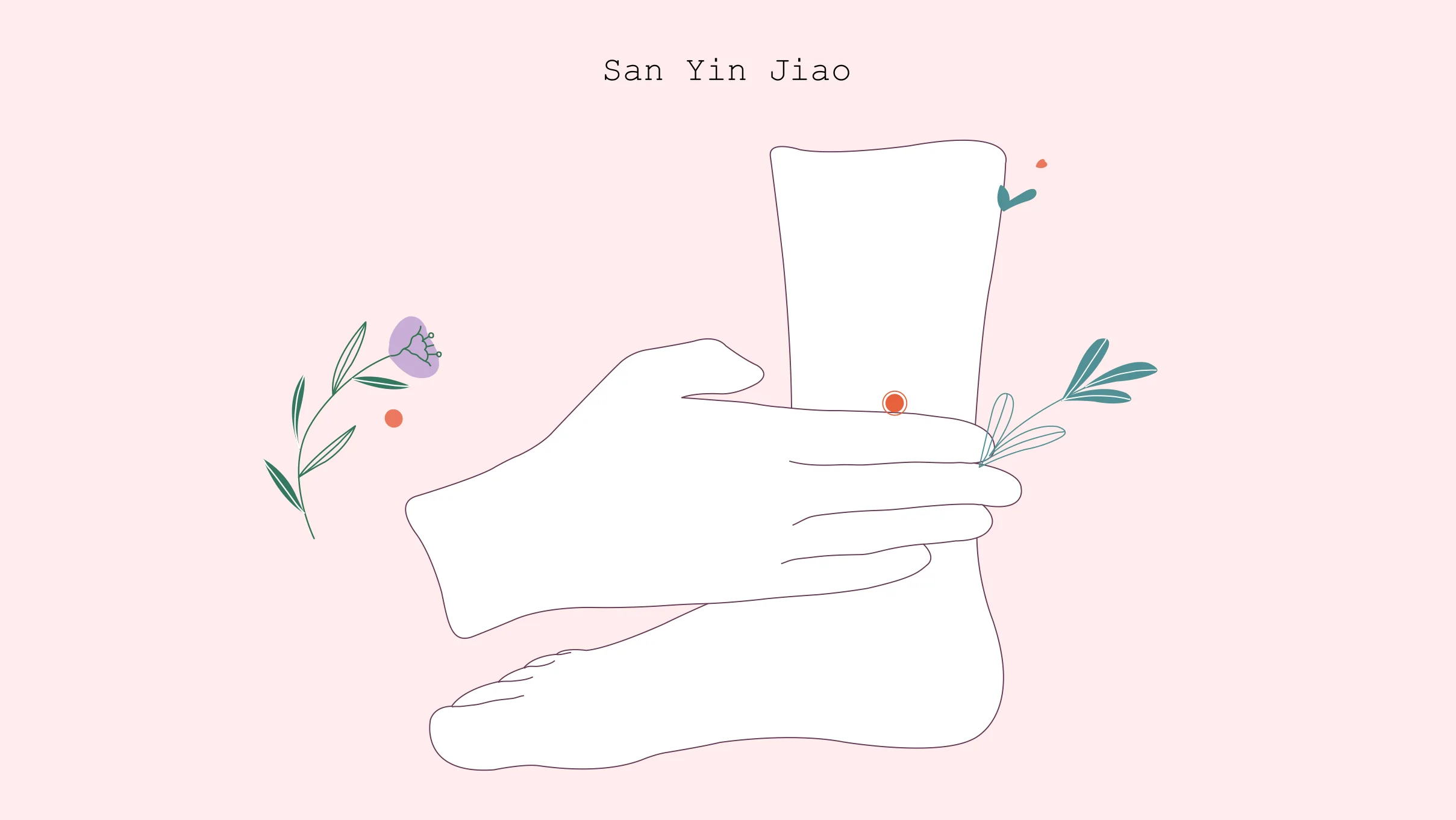 San Yin Jiao