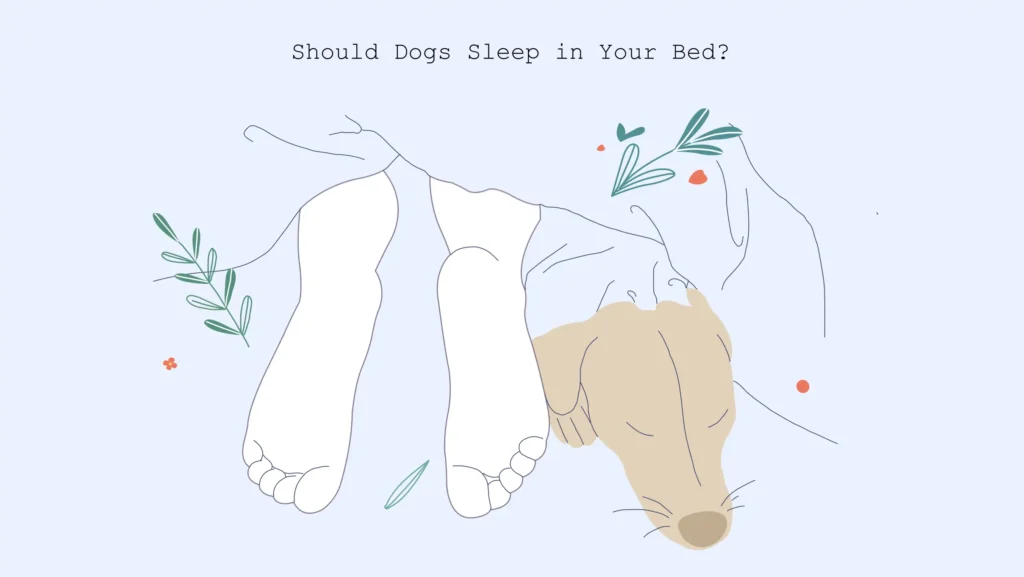 Should dogs sleep in your bed