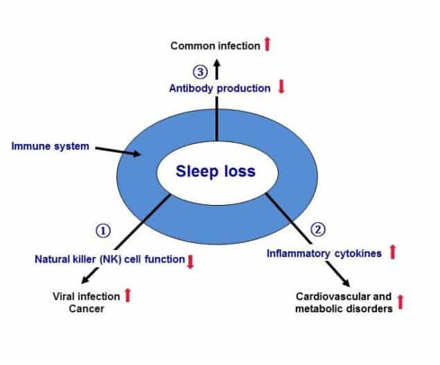 sleep loss and immune system